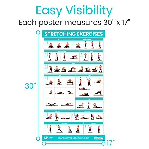 Vive 3 Pack Workout Posters for Home Gym - Yoga Poses, Stretching Exercises