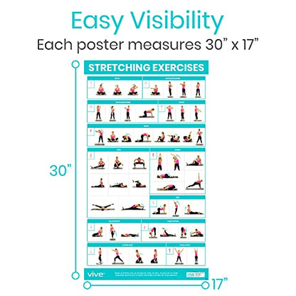 Vive 3 Pack Workout Posters for Home Gym - Yoga Poses, Stretching Exercises
