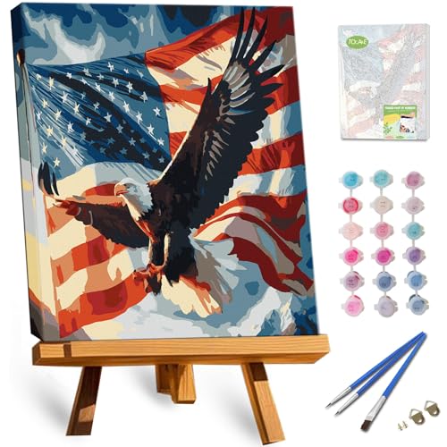 TOCARE Framed Paint by Numbers Kit for Adults, 12x16Inch American Eagle Paint by Numbers with Frame, Snow Mountains Adult Paint by Number Framed Canvas Wild Animal Lovers (Without Easel) - color: TC-F-209
