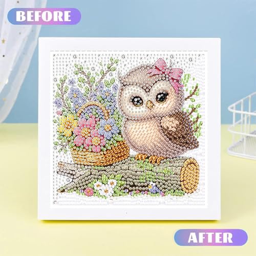 Ajepon Owl Diamond Art Kit for Kids, Ages 8-12, 7x7 Inch, Modern Style, Crystal Diamonds, Includes Canvas, Frame, Tools, Non-Foldable - color: CC193