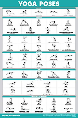 Palace Learning 2 Pack: Yoga Poses Laminated Poster + Dumbbell Exercise Playing Cards