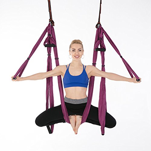 Aerial Trapeze Yoga Hammock Kit - Ultra Strong Antigravity Yoga Flying Sling Inversion Swing Tool Set - color: Deep Purple