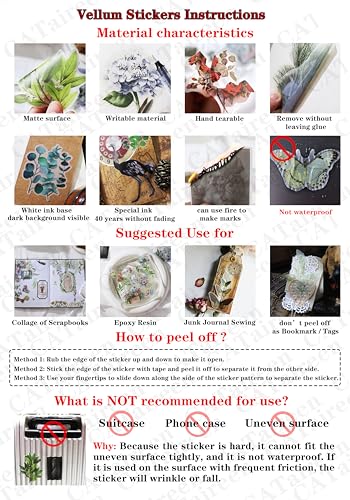 CATaireen Vintage Junk Journal Items Die Cut Cutout Translucent Paper Stickers Art Aesthetic Scrapbook Kit Clear Back Decal Travel Journaling Diary Stuff Collage Supplies (291pcs Embellishment)