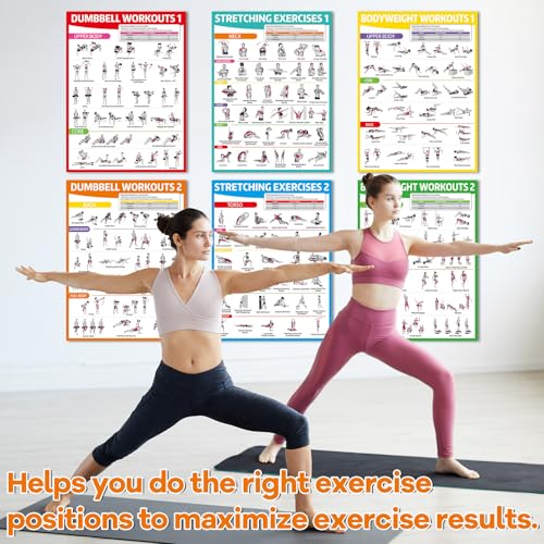 gisgfim 8PCS Workout Posters for Home Gym-Dumbbells, Bodyweight, Stretching, Kettlebell Exercise Chart Full Body Laminated Fitness Training Poster Muscle Engagement Chart Garage Accessories Wall Decor