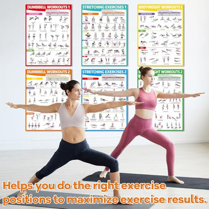 gisgfim 8PCS Workout Posters for Home Gym-Dumbbells, Bodyweight, Stretching, Kettlebell Exercise Chart Full Body Laminated Fitness Training Poster Muscle Engagement Chart Garage Accessories Wall Decor