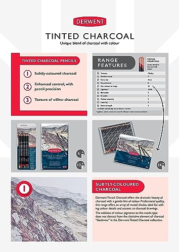Tinted Charcoal 24 Tin - size: 1 Count (Pack of 24)