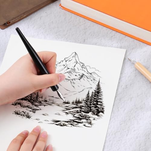 salbsever 12PCS Dip Pen Nibs, Dip Pen Set, 2 Wooden PenHolders and 10 Stainless Steel Calligraphy Nibs, Comic Calligraphy Drawing Pens for Writing, Painting, Signing, Sketch