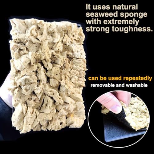 Natural Sea Sponge Dauber for Wall Texture Paint & DIY Art Painting | Natural sea sponge for painting,creates authentic organic wall effects,ideal for mottled texture finishing,great for DIY&pro
