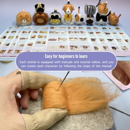 Truslin Needle Felting Kit, 12 Pcs Doll Making Needle Felting Starter Kit | with Instruction, Wool Felting Mat and DIY Needle Felting Supply for DIY Craft Animal Home Decoration - color: 12 Pcs