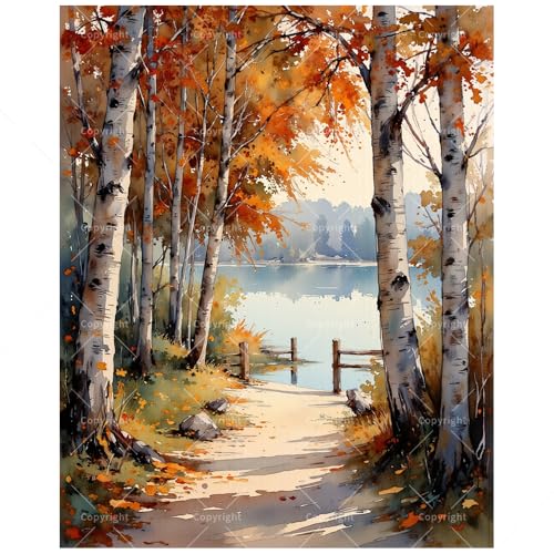 Lakeside Fall Foliage Paint by Numbers Kit for Adults - DIY Birch Trees and Lakeside Trail Painting on Canvas 16x20 Inches, Acrylic Paint Set, Suitable for Beginners, Art for Home Decoration or Gifts - color: TCXY06100, size: 16X20IN Folded