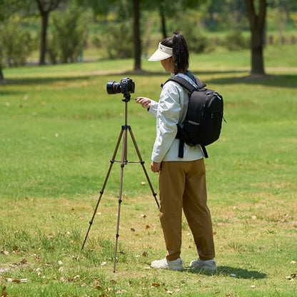 Amazon Basics 50-inch Lightweight Portable Camera Tripod Stand with Quick-Release Plate, Adjustable Height, Aluminum, for Travel Photography, Champagne - size: 50-in, style: Tripod Only