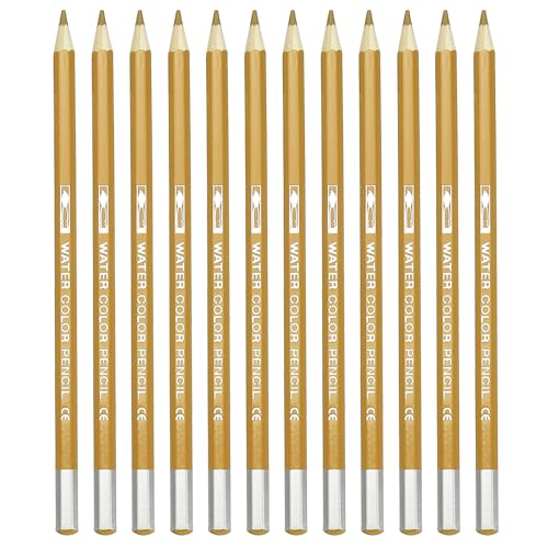 PATIKIL Watercolor Pencil, 12Pcs Water Soluble Pencils for Blending, Coloring, Sketch Drawing, Painting, Bright Orange - color: Bright Orange
