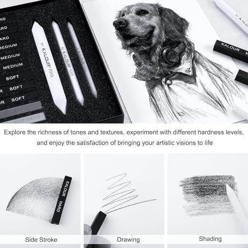 KALOUR 15 Pro Compressed Charcoal Drawing Set with Blending Stumps- Soft,Medium,Hard and White Charcoal - Charcoal Sticks for Drawing Sketching Shading - Art Supplies for Artists Beginners Adults