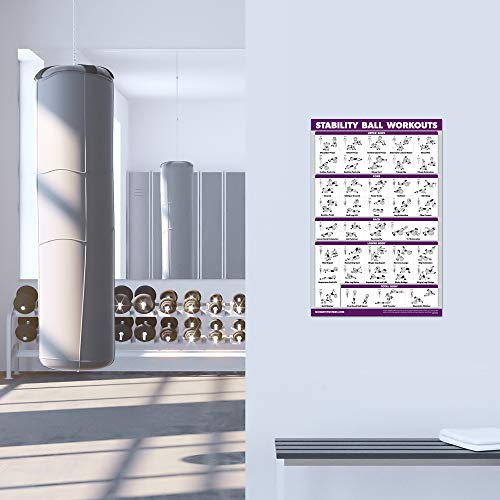 Palace Learning 2 Pack: Half Balance Ball Workout Poster + Yoga Ball Exercise Chart - Set of 2 Workout Posters