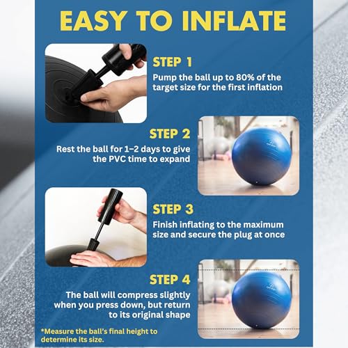 ProBody Pilates Yoga Ball - Vibrant Colors Exercise Ball - color: Sky, size: L: 23-26" (65 cm)
