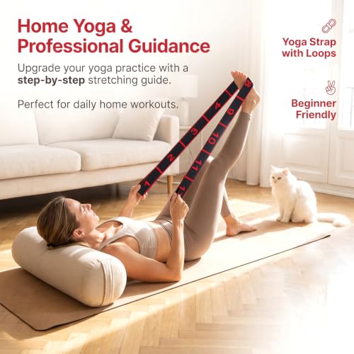 Andibro 1 Pack Resistance Bands, Stretch Straps with Loops for Yoga & Home