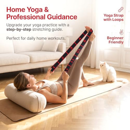 Andibro 1 Pack Resistance Bands, Stretch Straps with Loops for Yoga & Home
