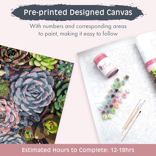 Pink Picasso Paint by Number Kit, Adults & Teens,16x20,Sensitive Succulents | Botanical Floral Collection, Acrylic Paints and Brushes included, Pre-printed high quality canvas, DIY art kit, Gift-ready - color: Sensitive Succulents