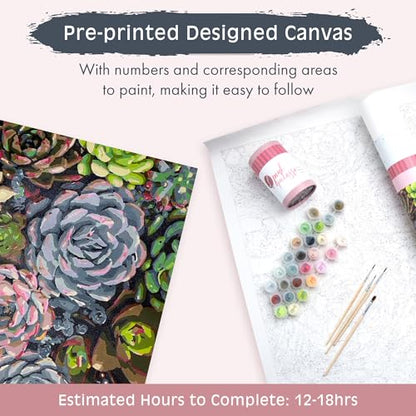 Pink Picasso Paint by Number Kit, Adults & Teens,16x20,Sensitive Succulents | Botanical Floral Collection, Acrylic Paints and Brushes included, Pre-printed high quality canvas, DIY art kit, Gift-ready - color: Sensitive Succulents