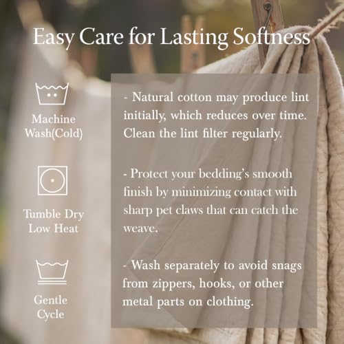 Threadmill Luxury Cotton Blankets for Queen Size Bed | All-Season 100% Cotton Queen Size Blanket | Aster Jacquard Cozy Lightweight, Soft Breathable Coverlet fits Full Size Bed, 90x92 | Dark Grey - color: Aster Dark Grey, size: Queen / Full