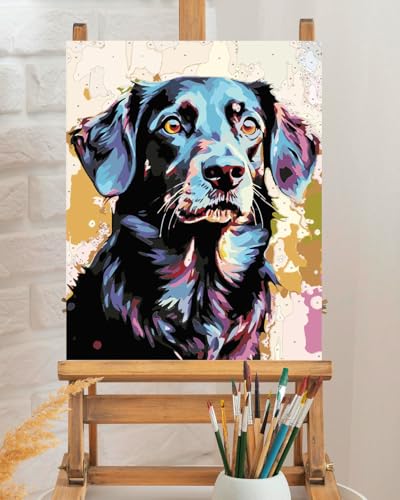 TOCARE Black Labrador Paint by Numbers Kit for Adults, Dog Paint by Number Adult Canvas,Adults' Paint-by-Number Kits for Dog Lovers 16x20inch (Without Framed) - color: TC-OPC-142