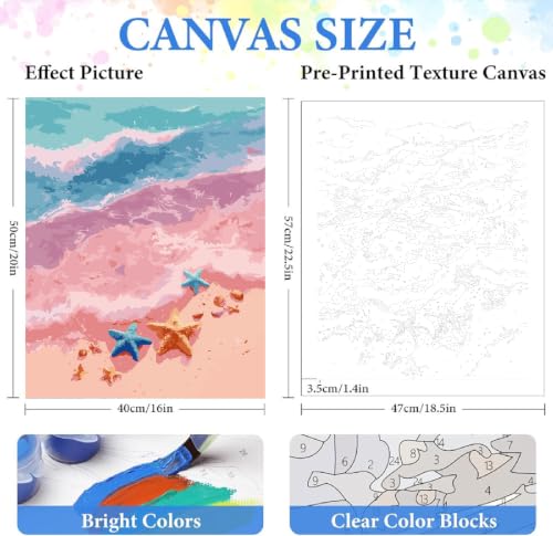 ZRIZQ Paint by Numbers Kit for Adults Beginner,Beach Scenery,16x20 | Full set with rich paints,wooden brushes,rolled canvas.Calming activity.Beginner friendly.Just open and paint. - color: 16"X20"Rolled Canvas-Beach 2