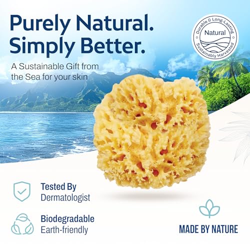 HartFelt Delicate Skin Wool Sea Sponge 4 in | Real Natural Sponges for Body and Face Gentle Care | Luxurious Lather - size: 1 Count (Pack of 1), style: Wool Sea Sponge