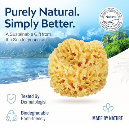 HartFelt Delicate Skin Wool Sea Sponge 4 in | Real Natural Sponges for Body and Face Gentle Care | Luxurious Lather - size: 1 Count (Pack of 1), style: Wool Sea Sponge