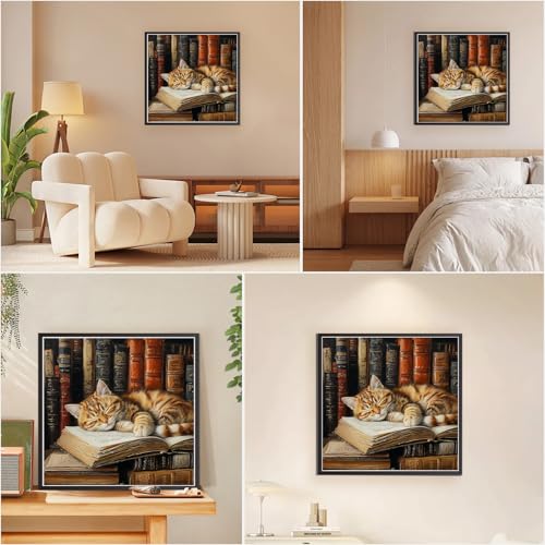 EOBROMD Paint by Numbers Kits for Adults Sleepy Cat, DIY Painting Kits for Adults Beginner, Acrylic Paint Oil by Numbers for Home Decor Gift 16x16inch(Without Frame) - color: 01-Sleepy Cat