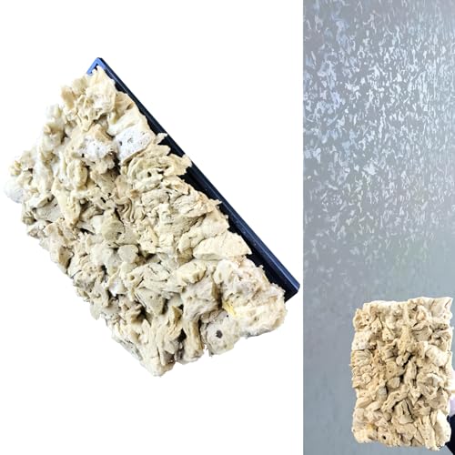 Natural Sea Sponge Dauber for Wall Texture Paint & DIY Art Painting | Natural sea sponge for painting,creates authentic organic wall effects,ideal for mottled texture finishing,great for DIY&pro
