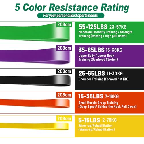 Resistance Band Sets with Accessories – 5 Level Pull Up Exercise Bands with Handles, Door Anchor & Carry Bag | Workout Bands for Strength Training, Home Gym & Fitness