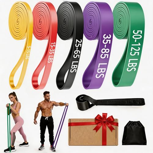 Resistance Bands for Working Out, 5 Levels Pull Up Assistance Bands | Exercise Band with Door Anchor, Body Training, Physical Therapy, Stretch Workout, 5-125 LBS for Men Women, Home Gym Travel