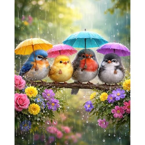 PHANTASYART Cute Birds Paint by Numbers Kit for Adults 16x20inch | Birds Umbrella Paint by Number Adult, Painting by Numbers for Adults, DIY Acrylic Adult Paint by Number Kits on Canvas - color: Cute Birds, size: 16x20inch