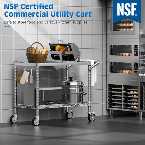 Utility Tool Cart with Wheel, 45In Large Rolling Utility Carts with Handle | 2 Tier Heavy Duty Commercial Grade Metal Serving Storage Carts for Warehouse Garage Kitchen, 25" D x 45" W x 40" H-Silver - color: 2-silver, size: 2 Tier