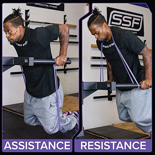SERIOUS STEEL FITNESS Assisted 41" Pull-Up Band, Resistance & Stretch, Powerlifting & Pull-up Assist Loop (Single Band) - style: #1 (5-35 lbs)