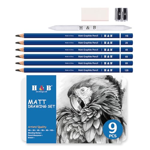 H & B Profession Sketch Pencils 9-Piece, Matte Sketch pencils, Sketch Pencil Set for Drawing, Shading, and Sketching for Beginners, Artists and professional artists - size: 9 Count (Pack of 1)