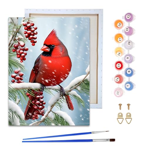 Reofrey Framed Paint by Numbers Kit for Adults & Beginner - 8x12 Inch Canvas Christmas Paint by Numbers - Birds Educational & Creative Art Set for Beginners - Perfect for Home Wall Decoration - color: bird
