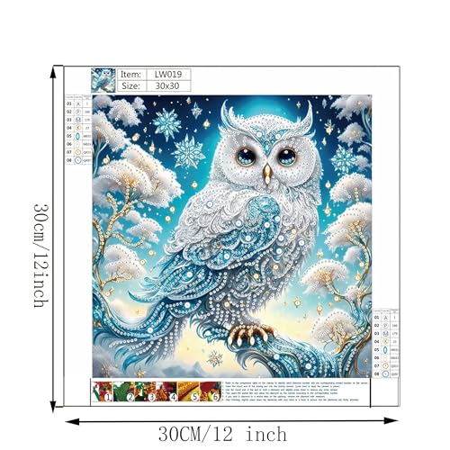 KUFWKEY DIY 5D Partial Diamond Painting Kit for Beginners, Owl Diamond Art Kits for Adults,Special Shaped Crystal Sparkling Art, Frameless Diamond Mosaic Gem Art for Home & Office Decor,12X12 inch - color: LW019