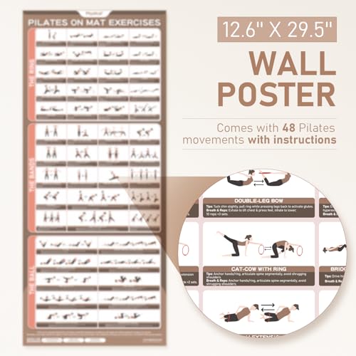PhysKcal Pilates Kit, 15-Inch Pilates Ring with 1x Pilates Ball & 5X Bands | Aesthetic Home Pilates Equipment Set, Essential Kit for Beginners in Minimalist Style. Comes in Premium Packaging - color: Nude