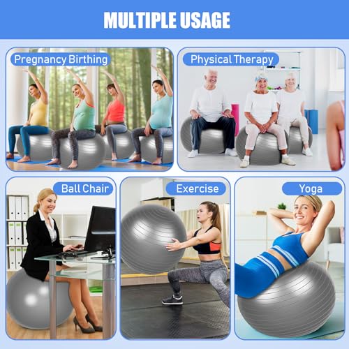Leyndo 4 Pcs 26 Inch Yoga Exercise Ball Pilates - color: Gray
