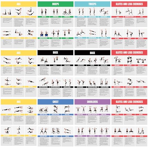 Full Body Workout Poster for Home Gym | Exercise Chart for Glutes, Legs, Back & Abs, Strength Training Guide with Squats, Lunges, Deadlifts, Core Exercises