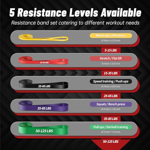 4-Level Resistance Bands for Working Out, Pull Up Assistance Bands | 5-85 LBS Resistance, Fitness, Full-Body Training, Physical Therapy & Stretch Workout, for Men, Women, Home, Outdoor, Gym Use - color: 5PCS-Multicolor