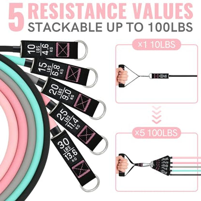 Aihoye Resistance Bands with Handles & Door Anchor for Strength Training - color: 10-100LB Set (12Pcs) Makaron