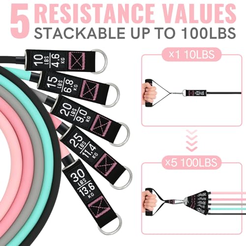 Aihoye Resistance Bands with Handles & Door Anchor for Strength Training - color: 10-100LB Set (12Pcs) Makaron