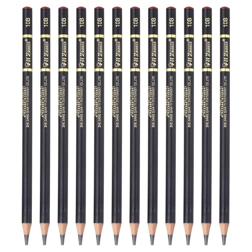 PATIKIL 12Pcs Drawing Pencils for Sketching, 10B Refill Sketch Pencils for Drawing, Graphite Art Pencil Set Professional Resistant Lead for Painting Shading Artist Office Supplies - size: 10B