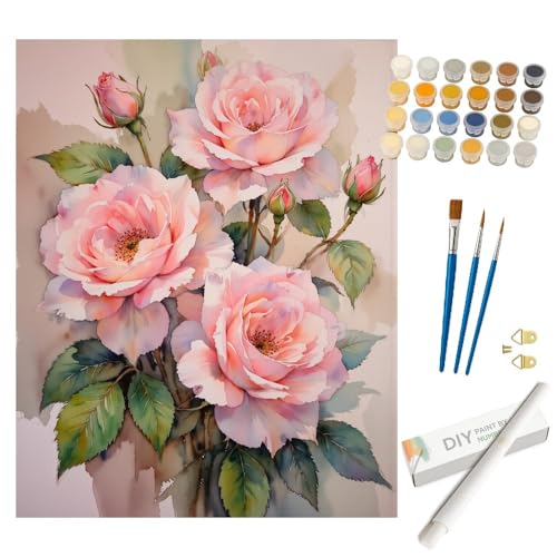 Soft Pink Roses Paint by Numbers Kit for Adults - DIY Flowers Painting on Rolled Canvas 16x20 Inches, Acrylic Paint Set, Suitable for Beginners, Great for Home Decor or Gifting - color: TCXY07973, size: 16X20IN Rolled