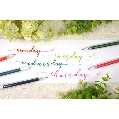 Kuretake Karappo Pen, Fine Brush tip 5pcs set, Ink-café MEIJI NO IRO ARAISHU Ink Bottle 20g for Fountain Pens