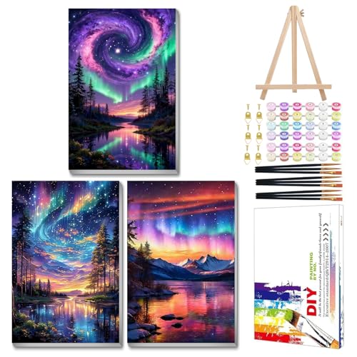Mandun Aurora Paint by Numbers Kit for Adults, 3 Pack, 7.8x11.8 inch | DIY Painting Kits Crafts for Adults, Relieve Stress, Frame Canvas, Wooden Easel, Gift Box, Home Wall Decor - color: 3 Pack Aurora