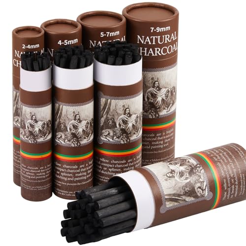 Gueevin 200Pcs Soft Willow Charcoal Sticks Drawing, 2-4mm,4-5mm,5-7mm,7-9mm | For Artists Beginners Students, Vine Charcoal Bulk for Sketching Shading Fine Art, Assorted Sizes, Back to School Gifts - size: 1 Count (Pack of 200)