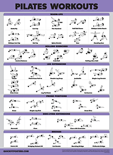 Palace Learning 4 Pack - Dumbbell Workouts + Bodyweight Workouts + Stretching Exercises + Pilates - Set of 4 Workout Charts (18” x 24”, LAMINATED)